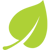 leaf-128