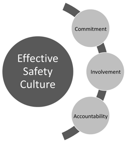 safety culture image