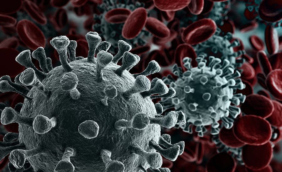 virus image reduced 2